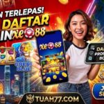 Jangan Terlepas! Cara Daftar & Main XE88 Hari Ini.
